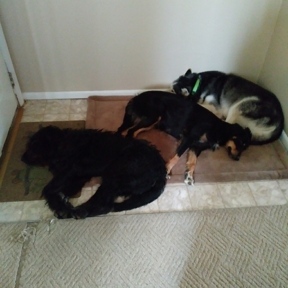 Meet your Posher, Tiffany - Picture 7 of 8